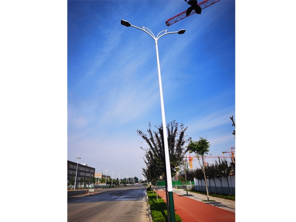 高桿燈安裝現場 (5)