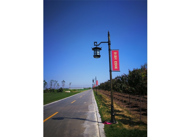 公園道路燈安裝效果